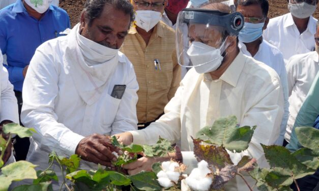 बोंडअळीचा प्रादुर्भाव झालेल्या शेतीची पालकमंत्र्यांकडून पाहणी