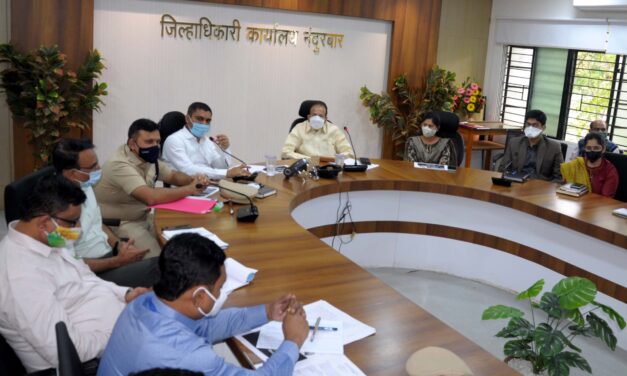 पालकमंत्र्यांच्या अध्यक्षतेखाली जिल्हा दक्षता समितीची बैठक संपन्न