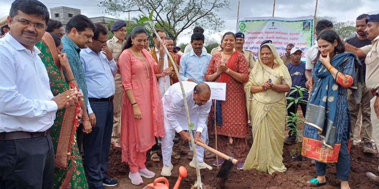 रौप्य महोत्सवी वर्षाच्या वर्धापन दिनी 25 हजार वृक्ष लागवडीचा संकल्प करु या ! -पालकमंत्री डॉ.विजयकुमार गावित